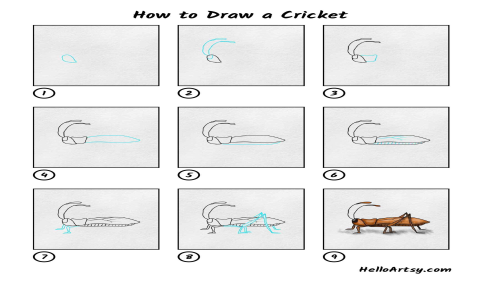 How to Install wheon cricket 07 Step by Step Easy Guide