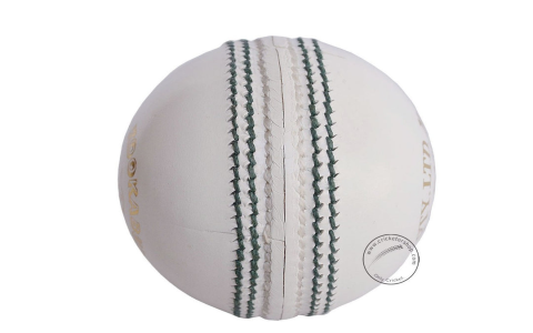 international cricket ball price